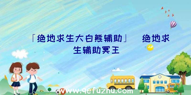 「绝地求生大白熊辅助」|绝地求生辅助冥王